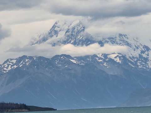 Stray-奥克兰中心地区必去景点