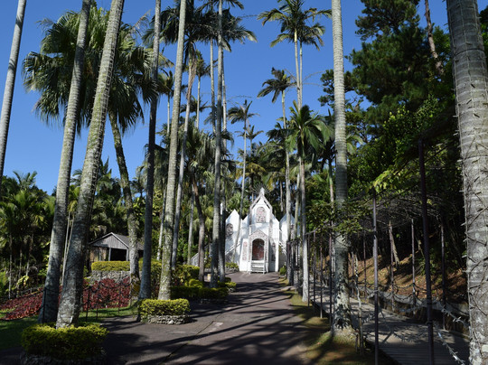 东南植物乐园-冲绳市必去景点