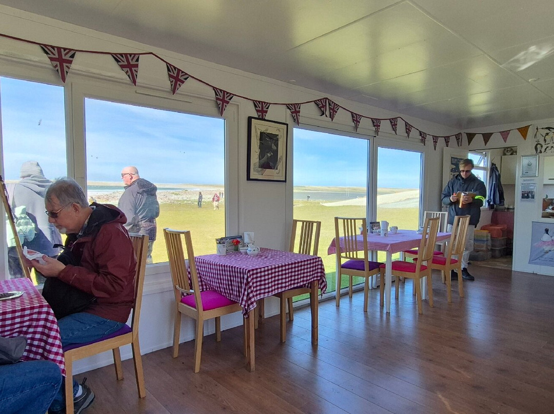 Bluff Cove Lagoon-East Falkland必去景点