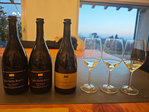 Asolo Manor Wine-阿索洛必去景点