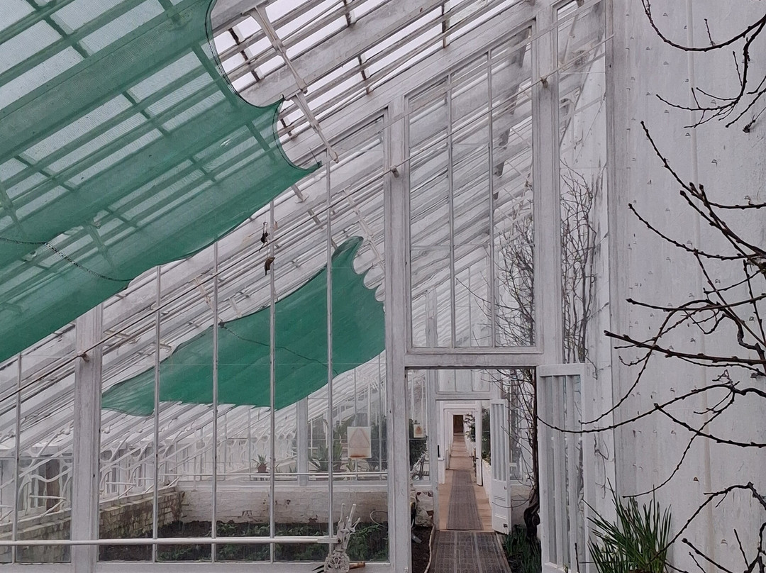 Clumber Park-沃克索普必去景点