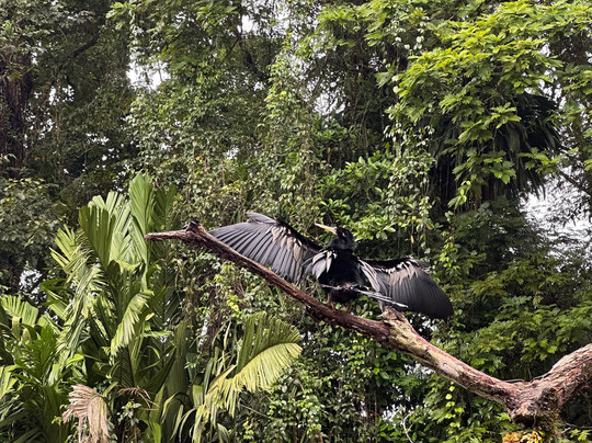 Costa Rica Roots Tours-托图杰多必去景点