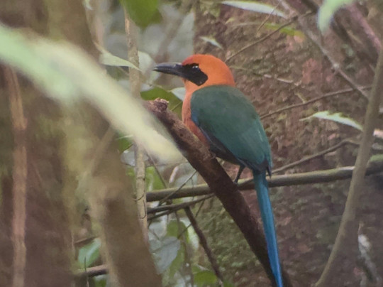 NexusTours-圣何塞必去景点