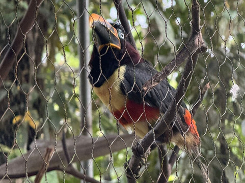Yana Cocha-Puyo必去景点