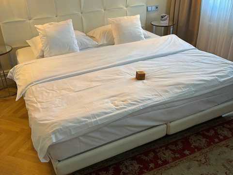 维也纳无忧宫酒店主图