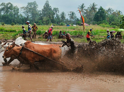 Lite 'N' Easy Tour-武吉丁宜必去景点