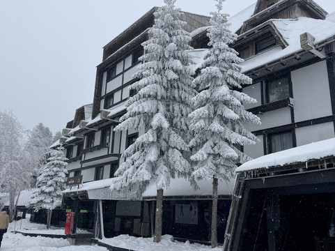 Belgrade Free Tour-贝尔格莱德必去景点