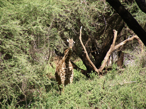 Hors Pistes Voyages-阿鲁沙必去景点