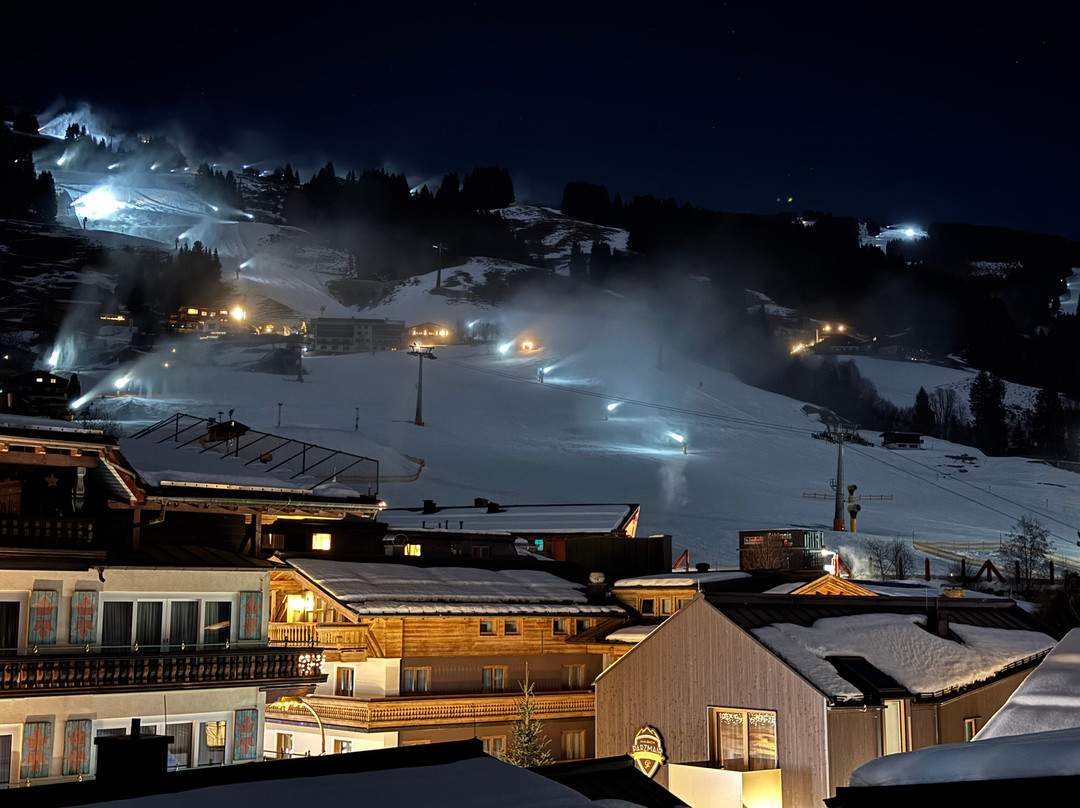 萨尔巴赫霍夫酒店主图