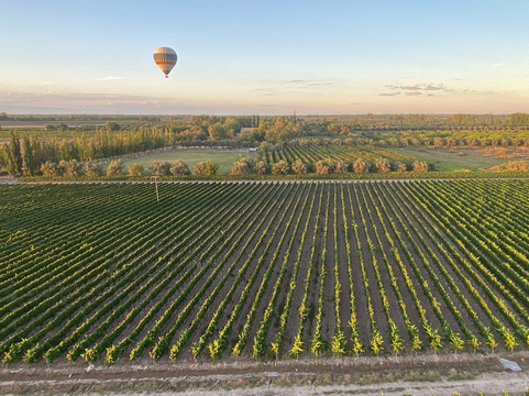 Mendoza Balloons-门多萨必去景点