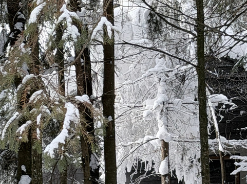 Scandinave Spa Mont-Tremblant-塔伯拉山必去景点