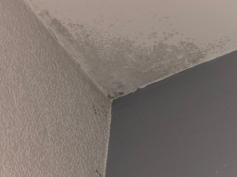 埃斯卡格堤耶酒店主图