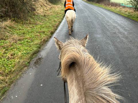 Eat Sleep Ride-Eyemouth必去景点