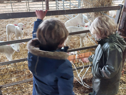 Errington Cheese-Walston必去景点