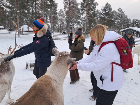 Inari Reindeer Farm-伊纳里必去景点