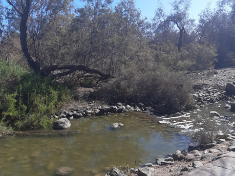 Botanical Park of Maspalomas (El Parque Botanico de Maspalomas)-马斯帕洛马斯必去景点
