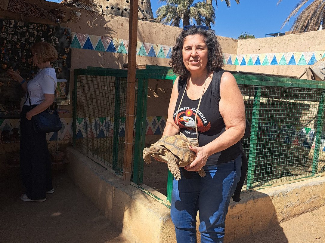 Egipt Izleti ( Mina Luka )-Hurghada 1必去景点