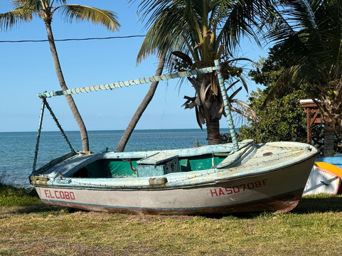 Pigeon Key-马拉松必去景点