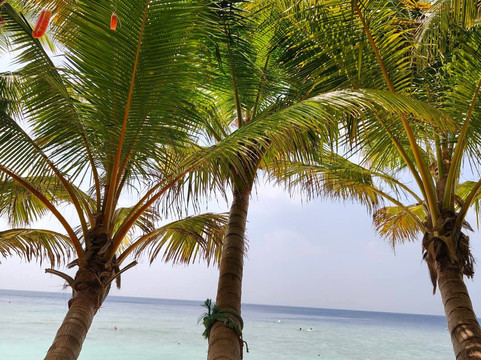 Azure Aura-乌库拉斯必去景点