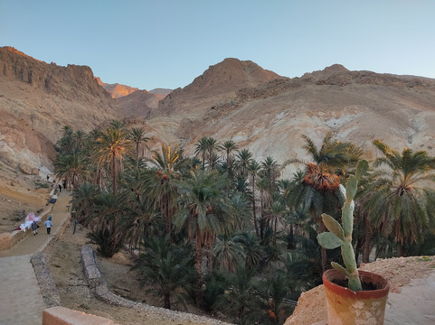 Chebika-Shabikah必去景点