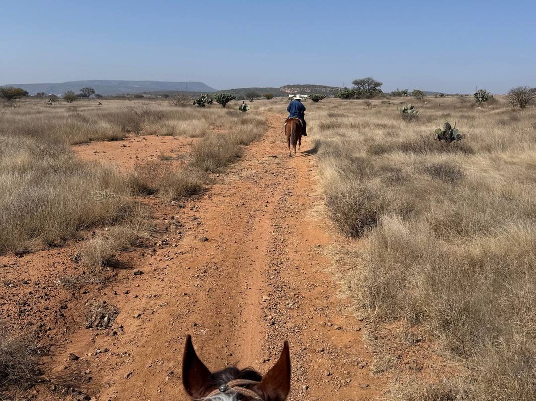 Cabalgando En Tequis-Tequisquiapan必去景点