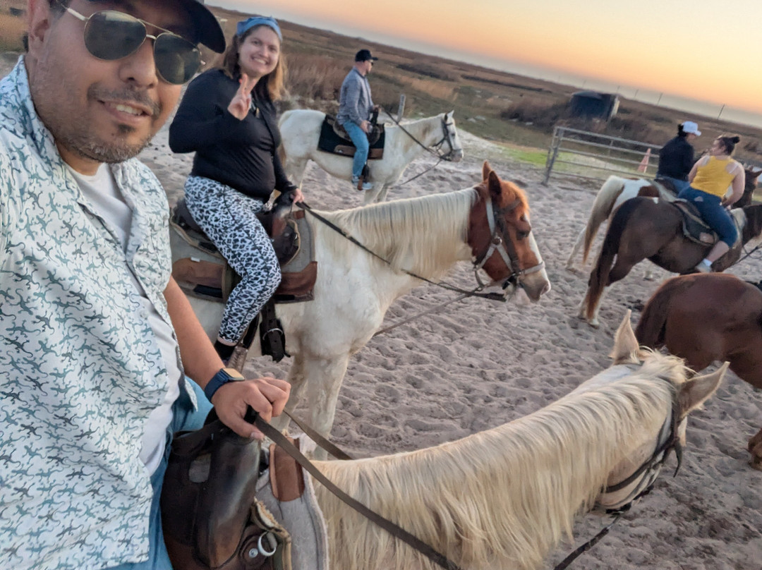 Horses On The Beach: Corpus Christi-科珀斯克里斯蒂市必去景点