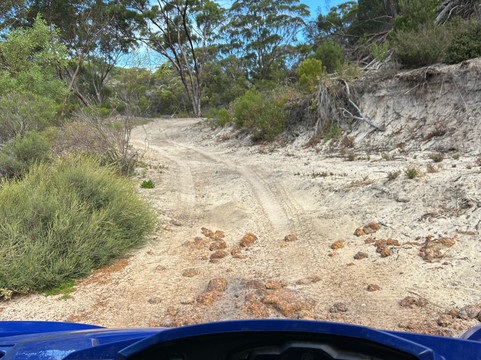Little Sahara-袋鼠岛必去景点