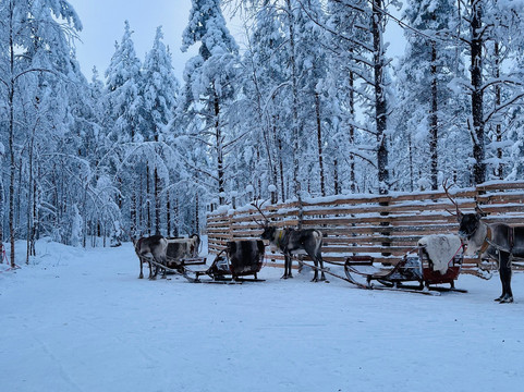 拉普兰Safartica户外探险之旅-罗瓦涅米必去景点
