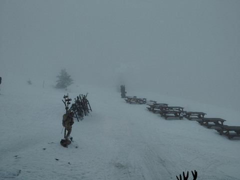 Winter Park Martinky-Martin必去景点