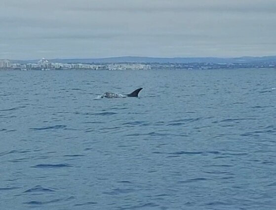 Allboat-阿尔布赞拉必去景点