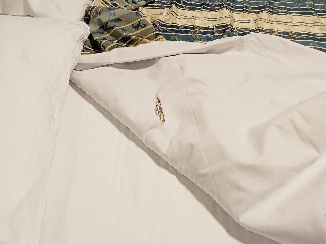 贝图斯酒店主图