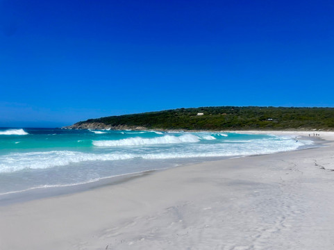 Short Beach-Bremer Bay必去景点