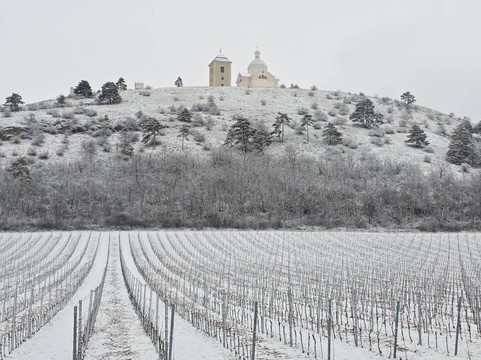 雷兹令克酒店主图