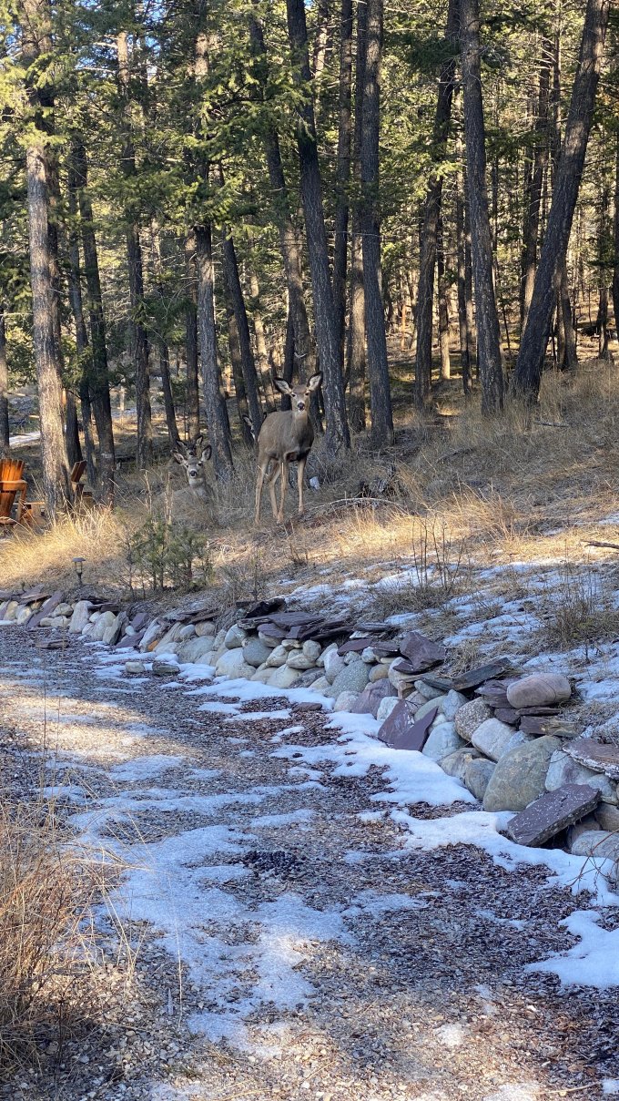 盖特维汽车旅馆-官方