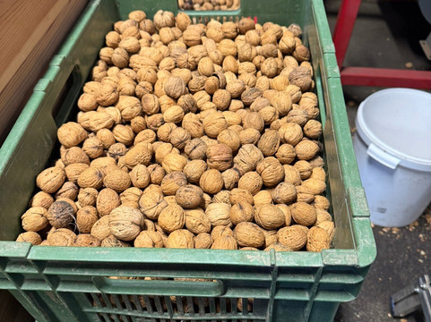 Moulin De Sévery-Apples必去景点