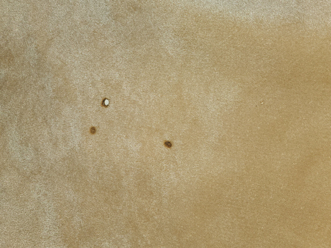 云杉山丘度假村及水疗中心主图