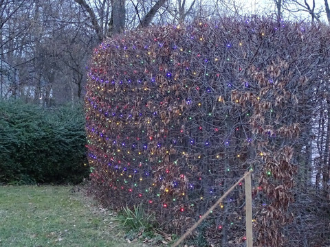 Grugapark Essen-埃森必去景点