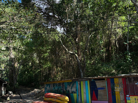 Anse Noire-Les Anses d'Arlet必去景点