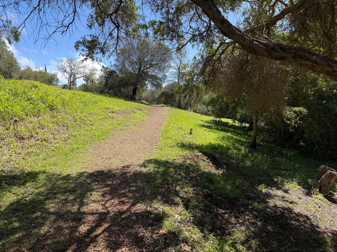 Ulu La'au (waimea Nature Park)-卡慕也拉必去景点