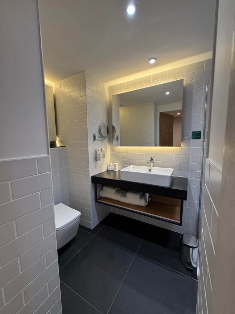 波尔多-梅里尼亚克机场洲际假日酒店-浴室