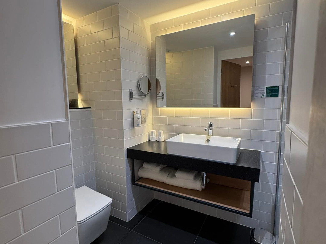 波尔多-梅里尼亚克机场洲际假日酒店主图