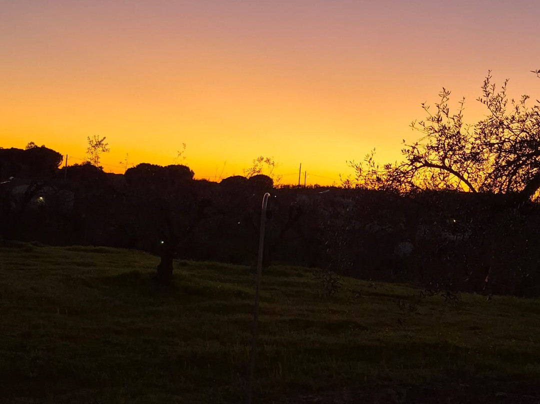 Burrico D`Orada - Lodging & Experiences-Serpa必去景点