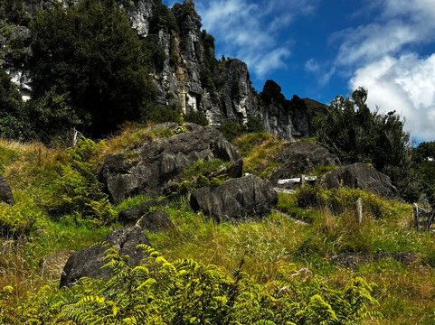 Red Carpet Tours-奥克兰中心地区必去景点