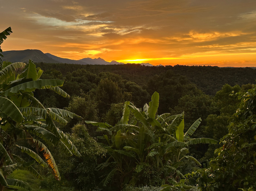 Wild Spirit Lodge and Backpackers