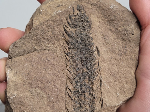 Stori Brymbo-雷克瑟姆必去景点