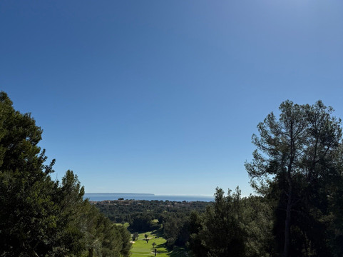 Majorca Royal Bendinat-卡尔维亚必去景点