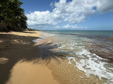 Vieques Island-维切克岛必去景点