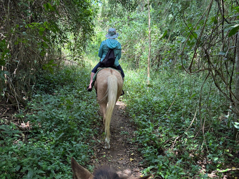 Cruzan Cowgirls-Frederiksted必去景点
