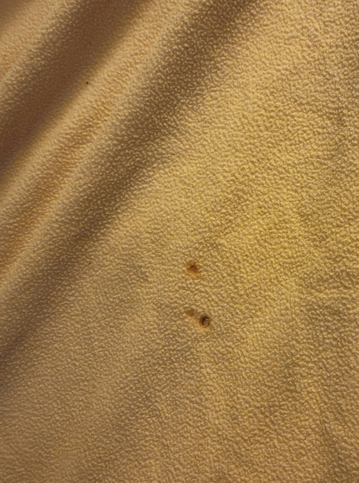 费尔蒙特品质酒店-客卧