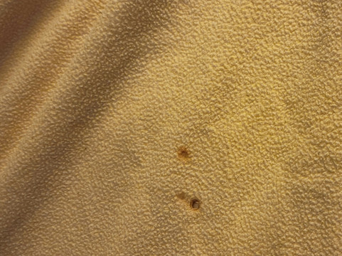 费尔蒙特品质酒店主图